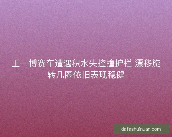 王一博赛车遭遇积水失控撞护栏 漂移旋转几圈依旧表现稳健