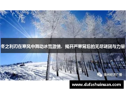 冬之利刃在寒风中舞动冰雪激情，揭开严寒背后的无尽谜团与力量